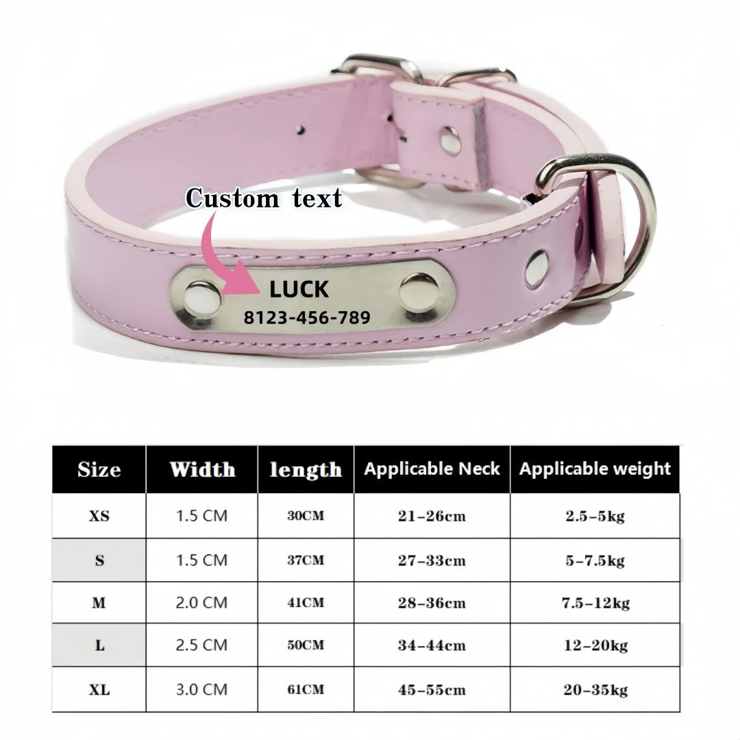 Collar personalizado con placa identificativa para perros y gatos