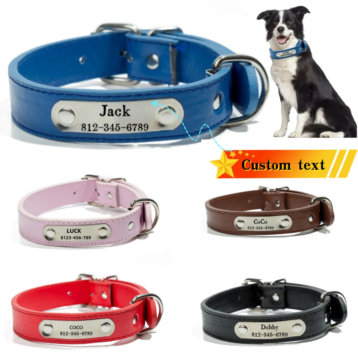Collar personalizado con placa identificativa para perros y gatos
