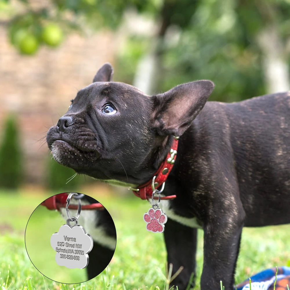 Chapas de identificación personalizadas para perros y gatos, grabadas en acero inoxidable.