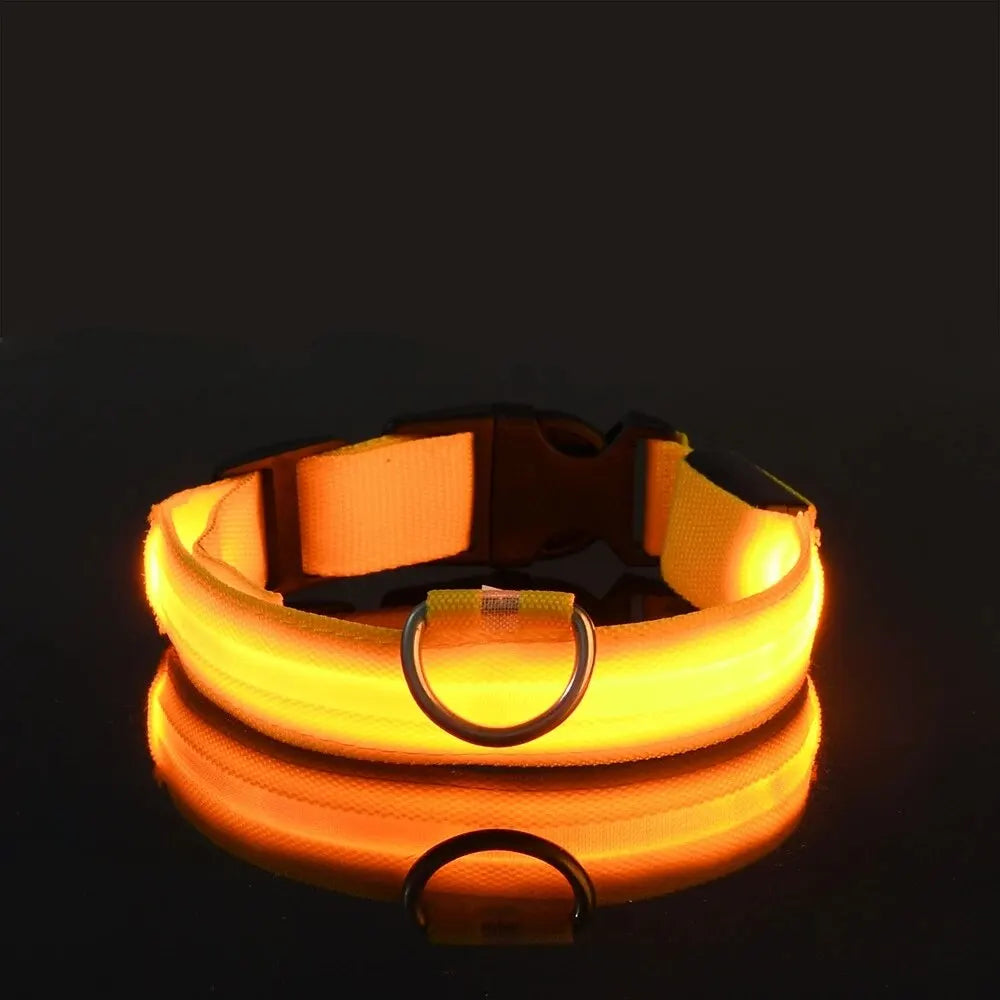Correa y collar LED para perros – Seguridad nocturna