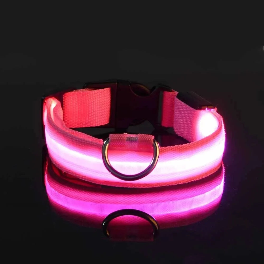 Correa y collar LED para perros – Seguridad nocturna