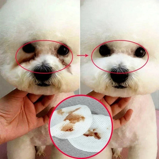 Paquete de 130 toallitas para perros y gatos – Limpieza suave y cuidado ocular