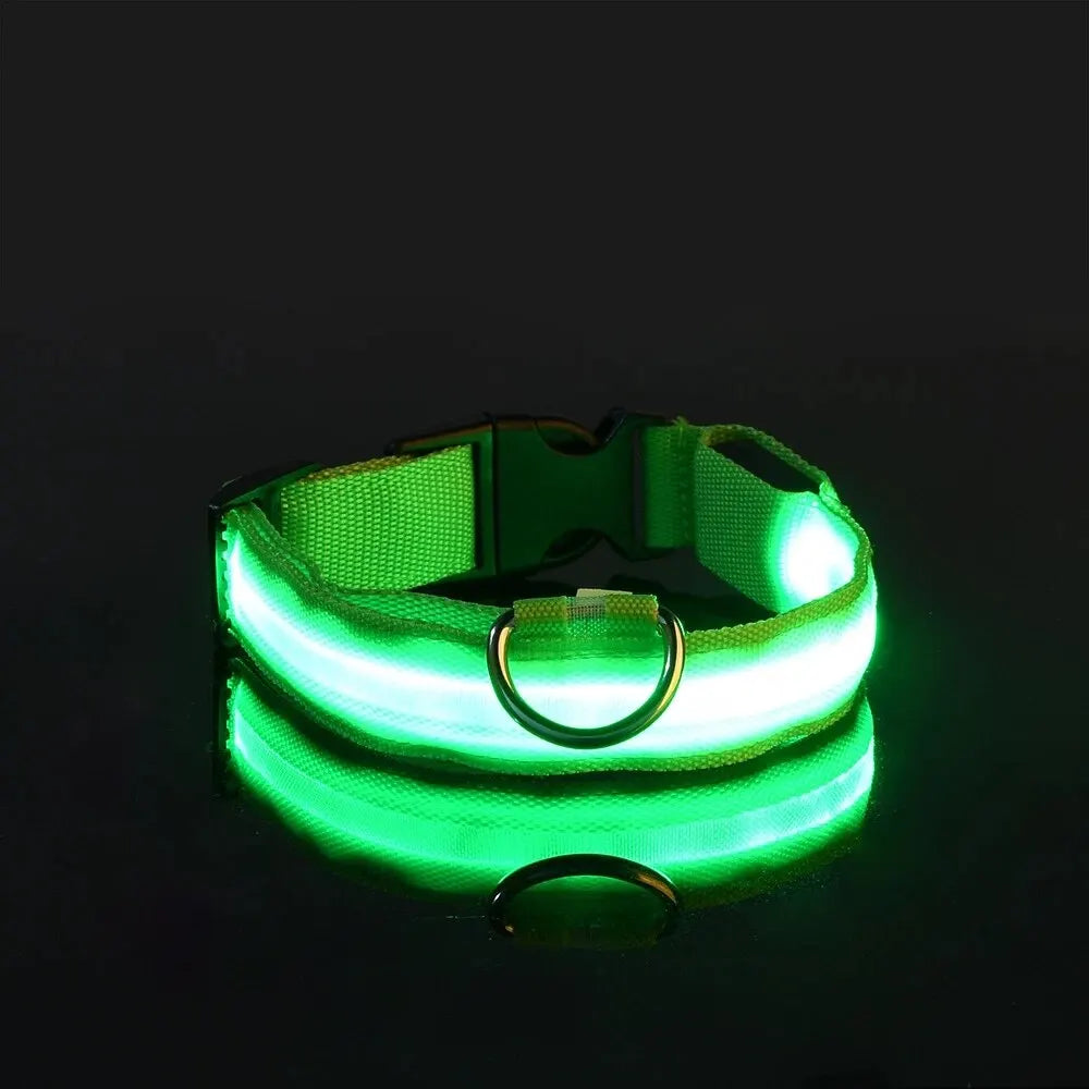 Correa y collar LED para perros – Seguridad nocturna