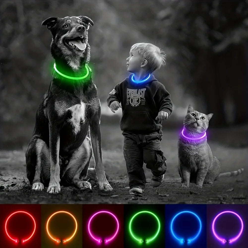Collar luminoso LED para perros