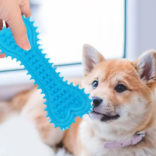 Juguete de Caucho para Perros – Hueso Resistente para Morder y Limpiar Dientes