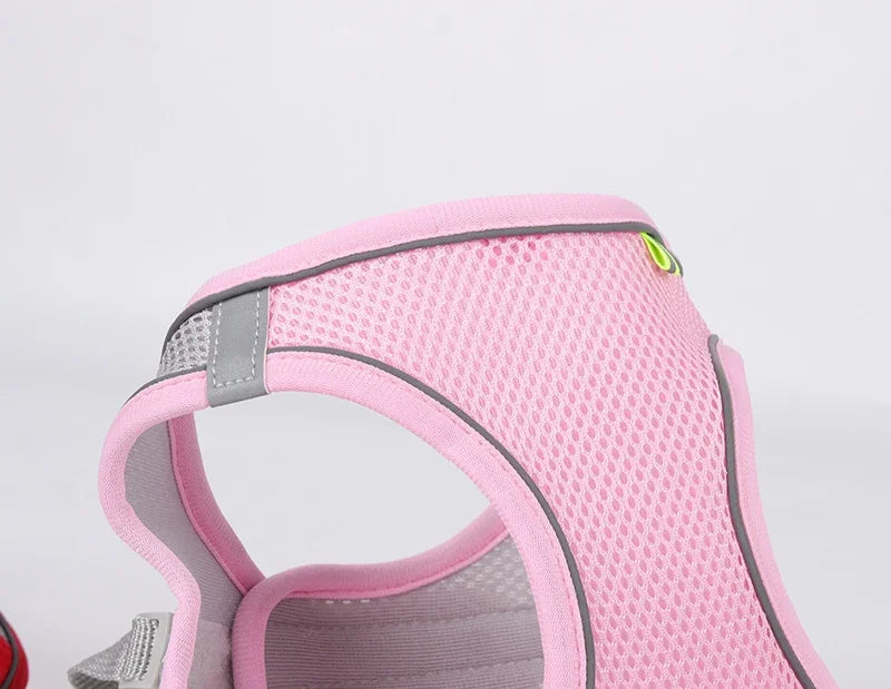 Set de arnés y correa ajustable para cachorros y gatos