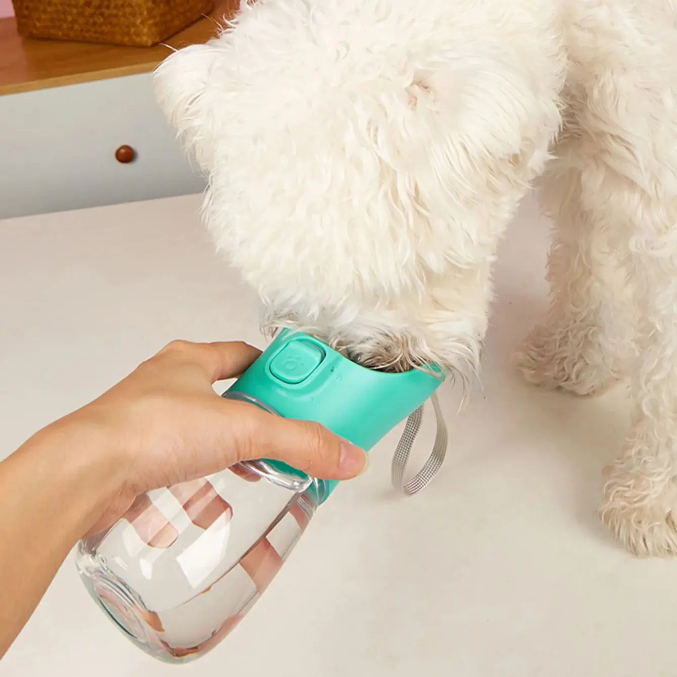 Botella portátil para agua de perros