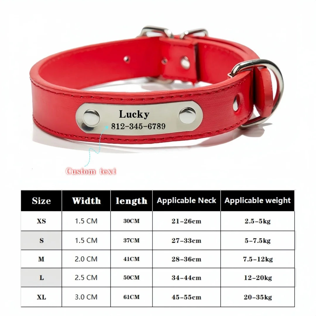 Collar personalizado con placa identificativa para perros y gatos