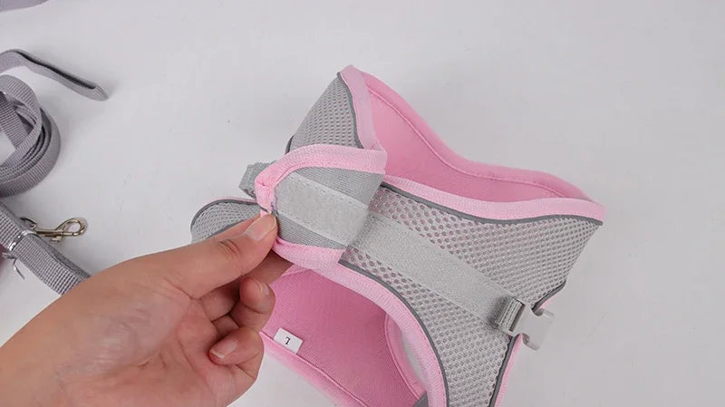 Set de arnés y correa ajustable para cachorros y gatos