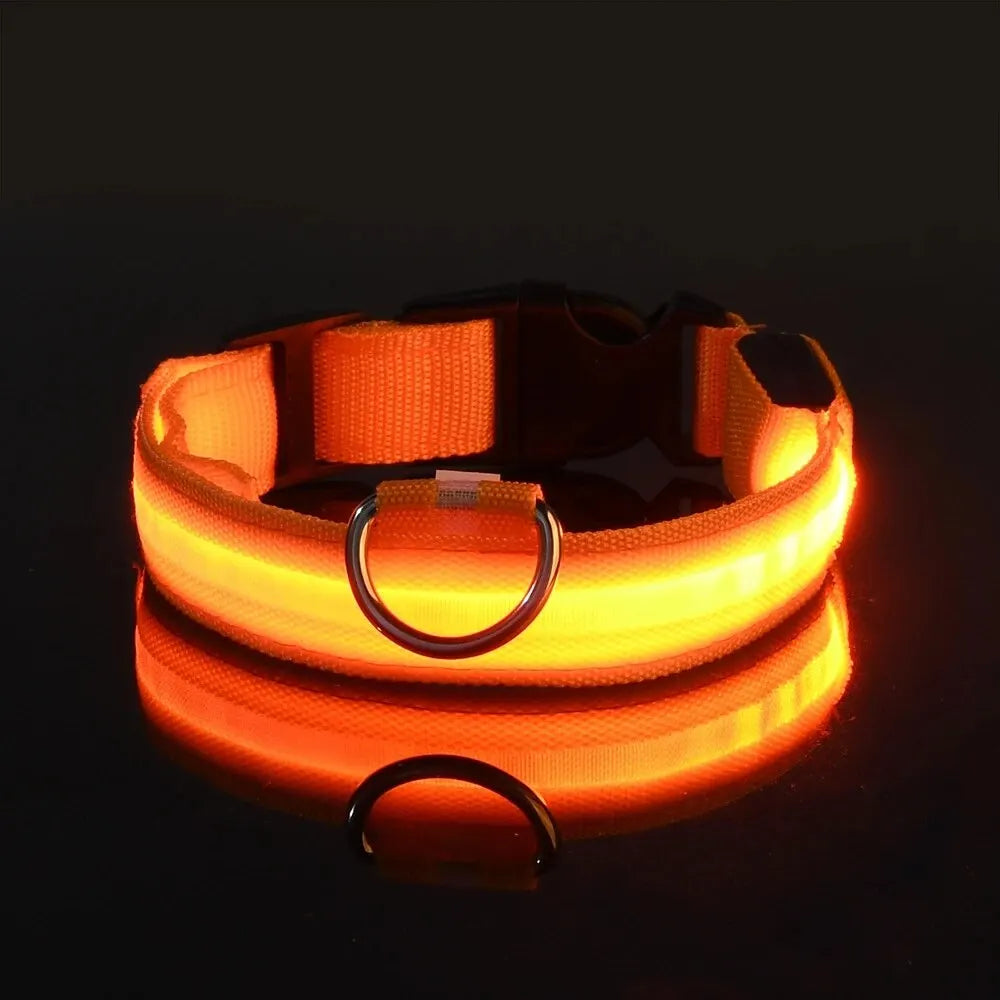 Correa y collar LED para perros – Seguridad nocturna