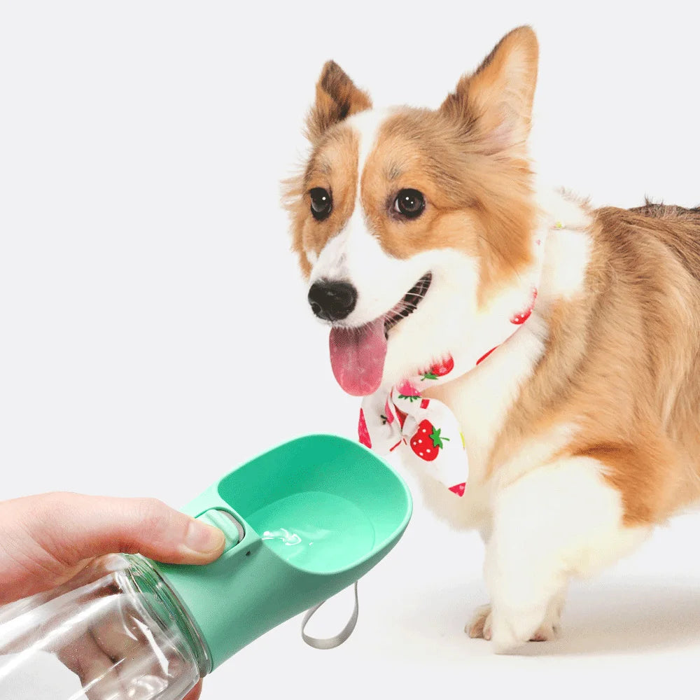 Botella portátil para agua de perros