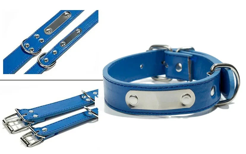 Collar personalizado con placa identificativa para perros y gatos