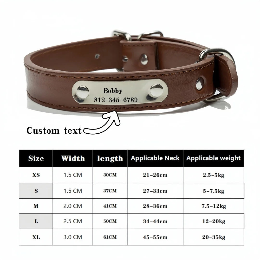 Collar personalizado con placa identificativa para perros y gatos