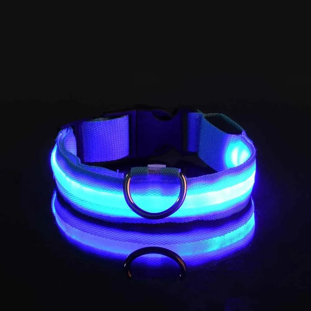 Correa y collar LED para perros – Seguridad nocturna