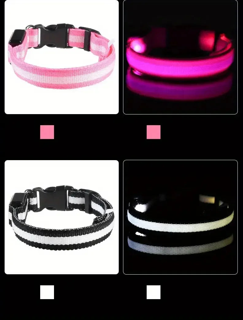 Correa y collar LED para perros – Seguridad nocturna