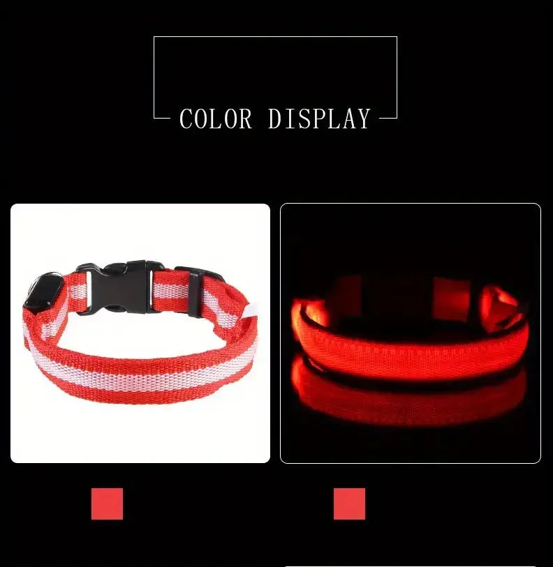 Correa y collar LED para perros – Seguridad nocturna