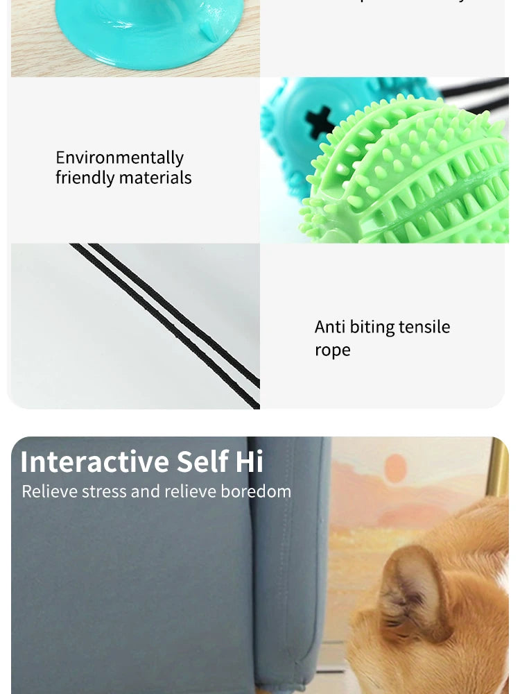 “Juguete interactivo para perros con ventosa, sonido y dispensador de premios – Pelota de caucho resistente para entrenar y jugar al tira y afloja.”