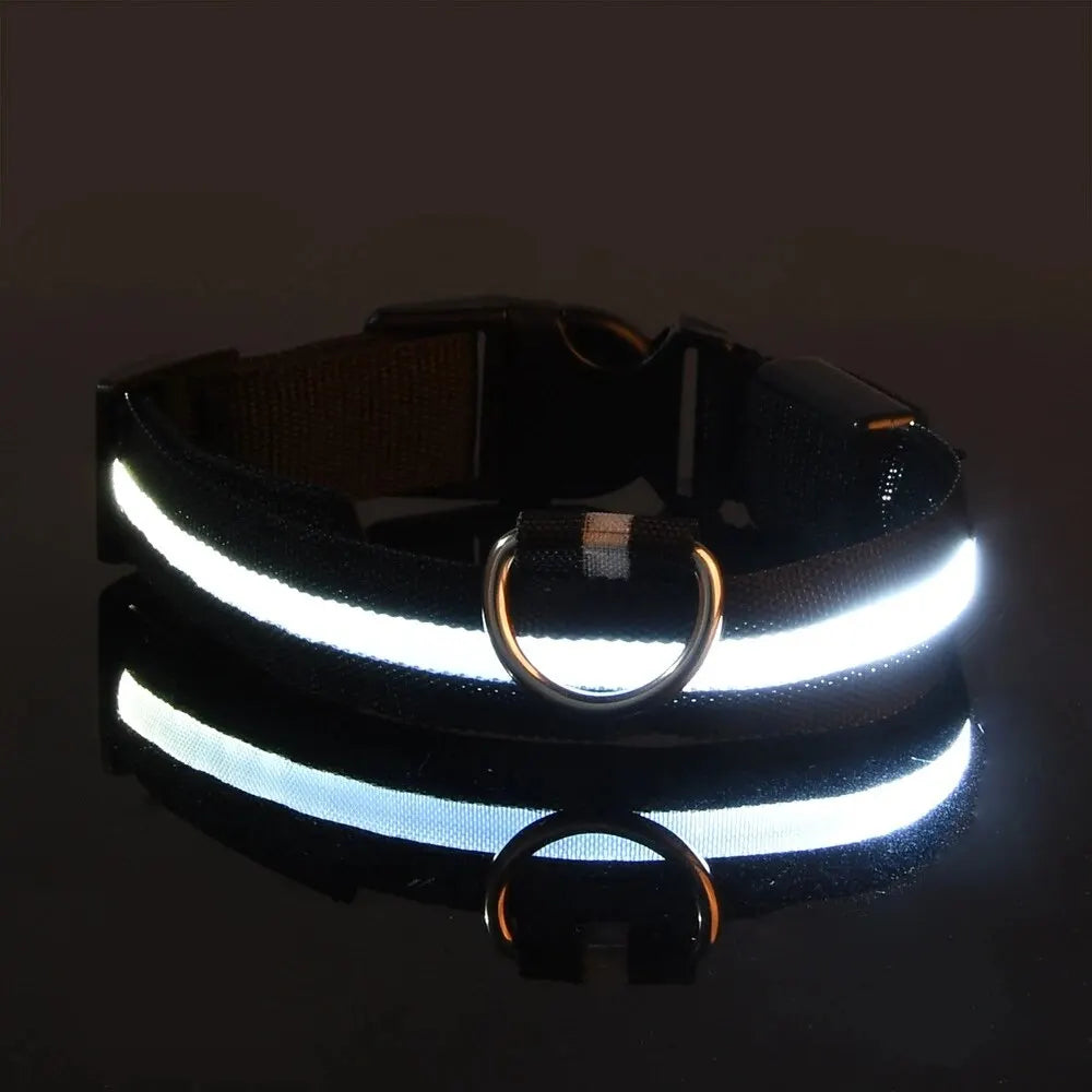 Correa y collar LED para perros – Seguridad nocturna