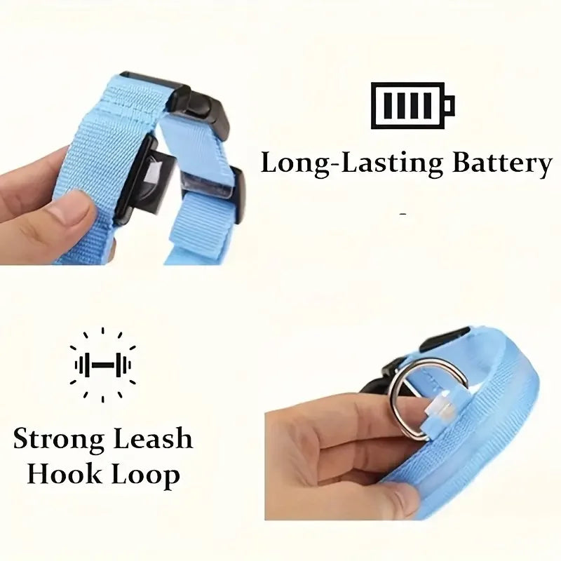 Correa y collar LED para perros – Seguridad nocturna