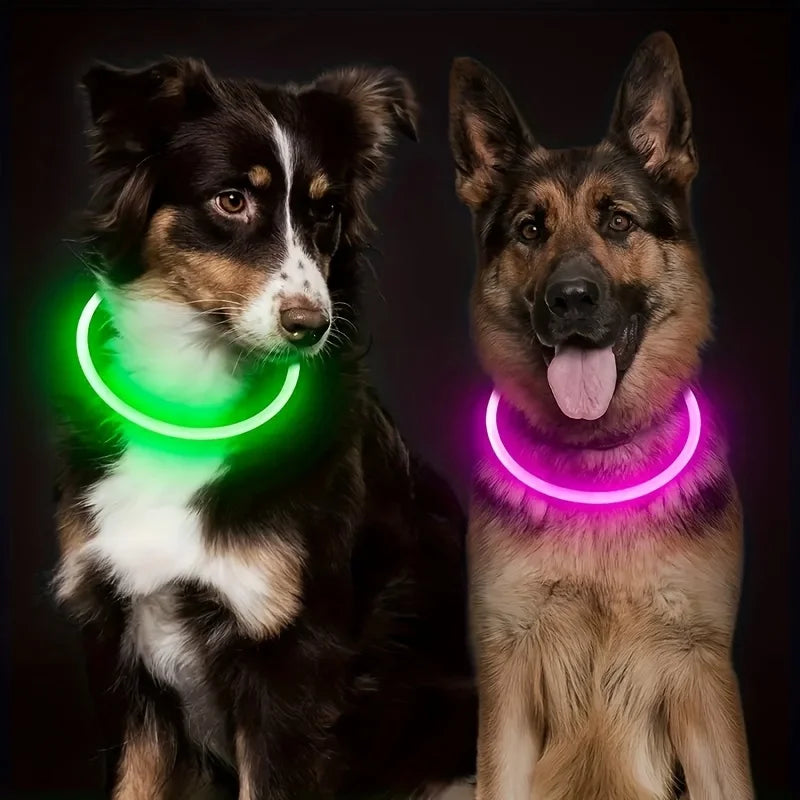 Collar luminoso LED para perros