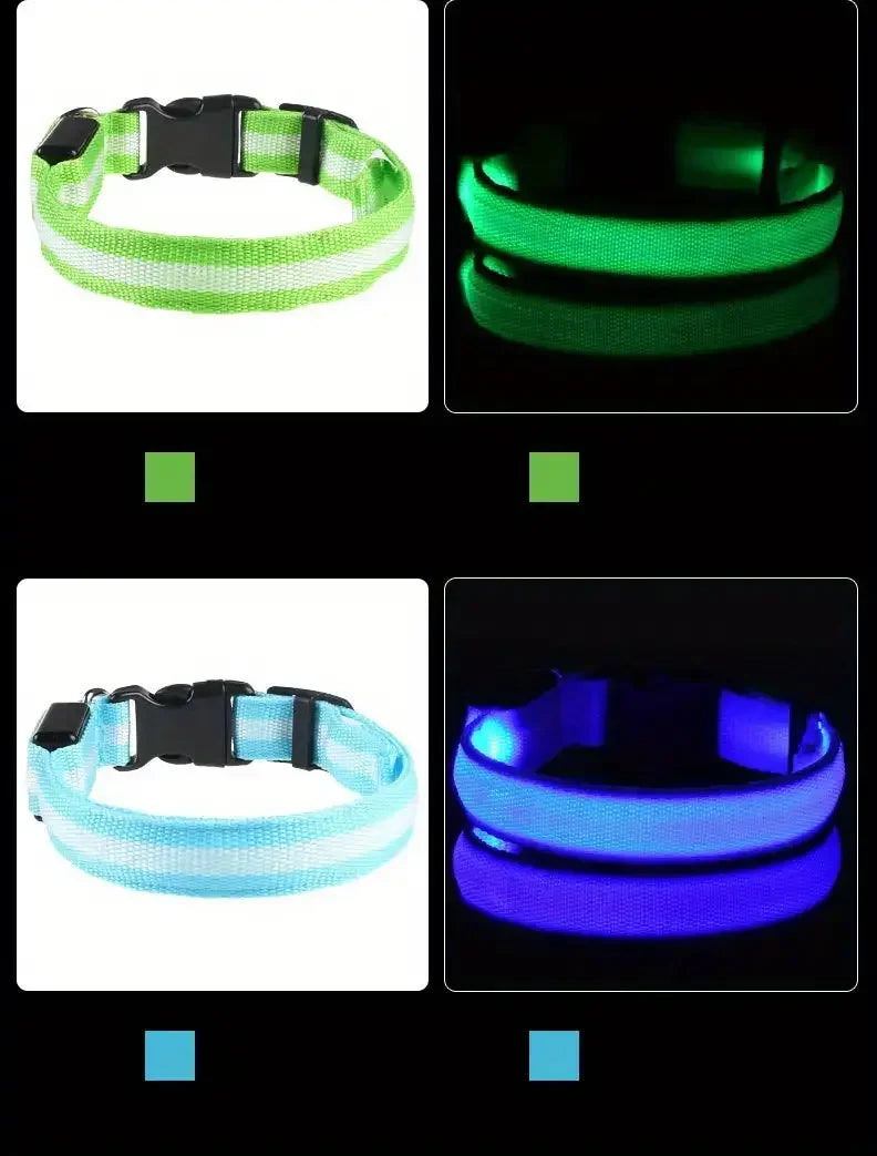 Correa y collar LED para perros – Seguridad nocturna