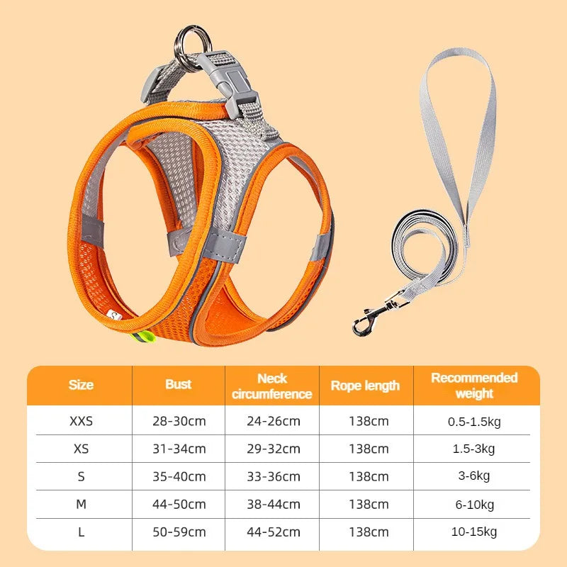 Set de arnés y correa ajustable para cachorros y gatos