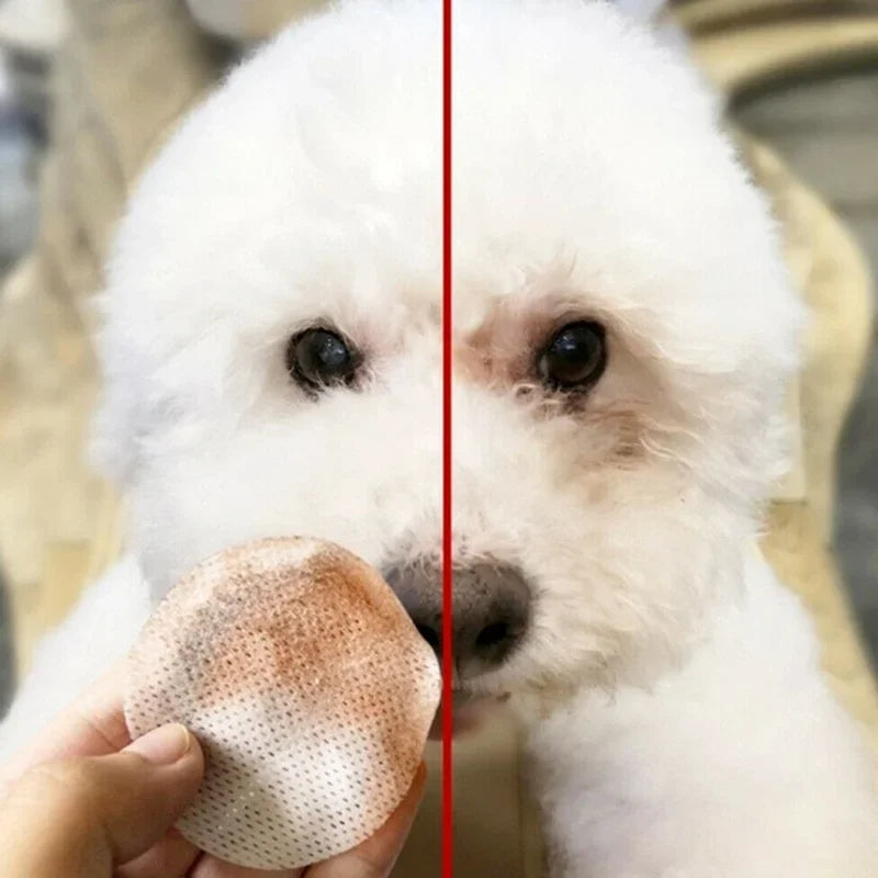 Paquete de 130 toallitas para perros y gatos – Limpieza suave y cuidado ocular