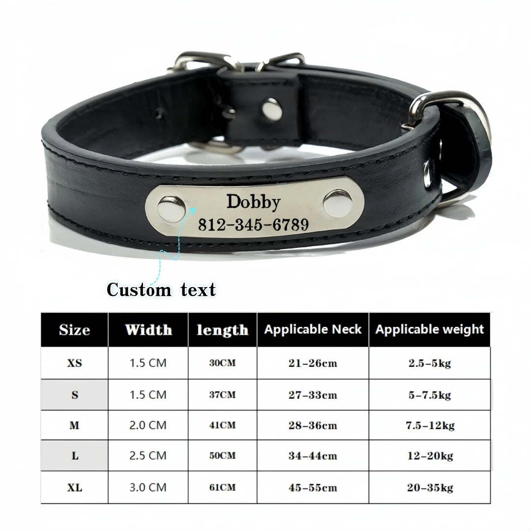 Collar personalizado con placa identificativa para perros y gatos