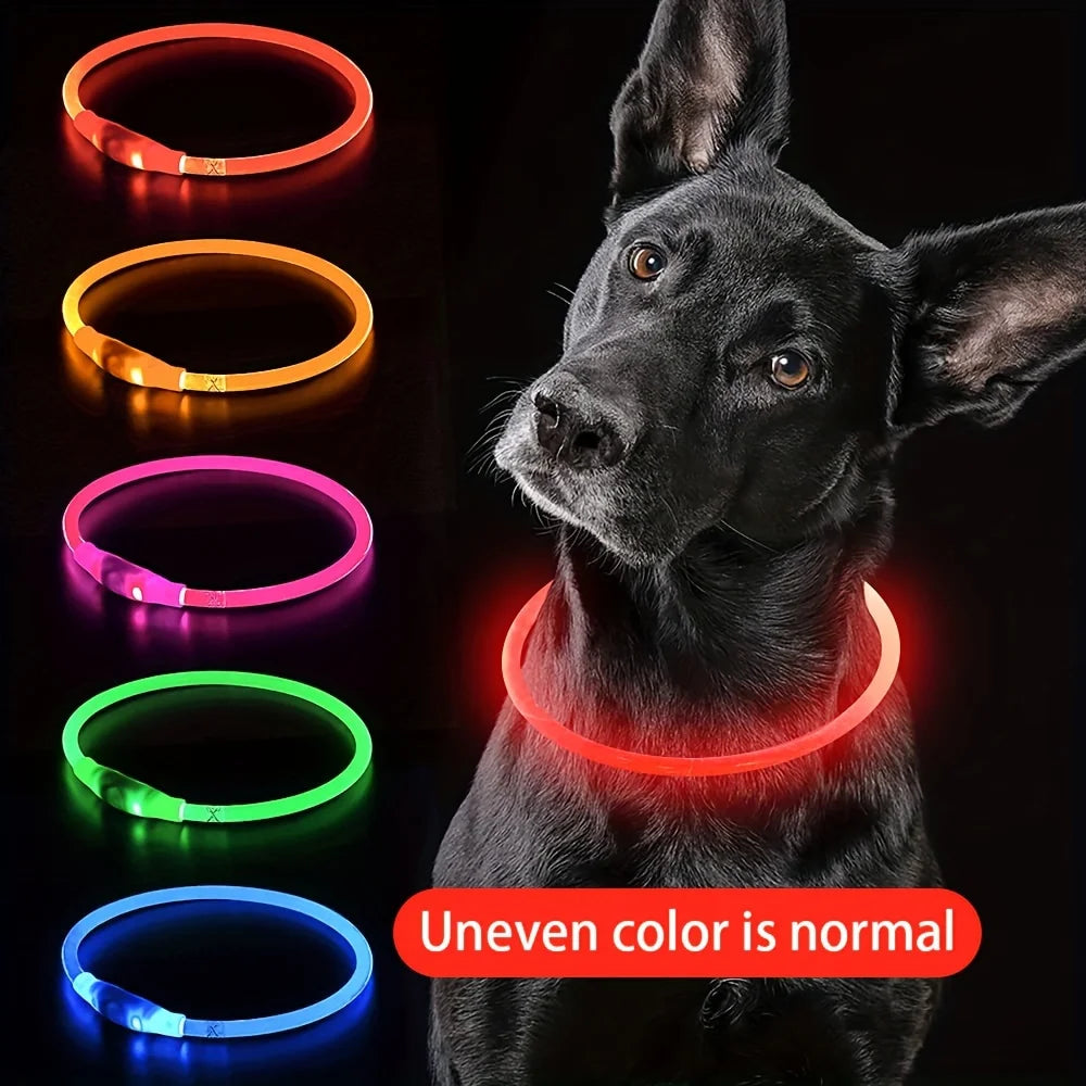 Collar luminoso LED para perros