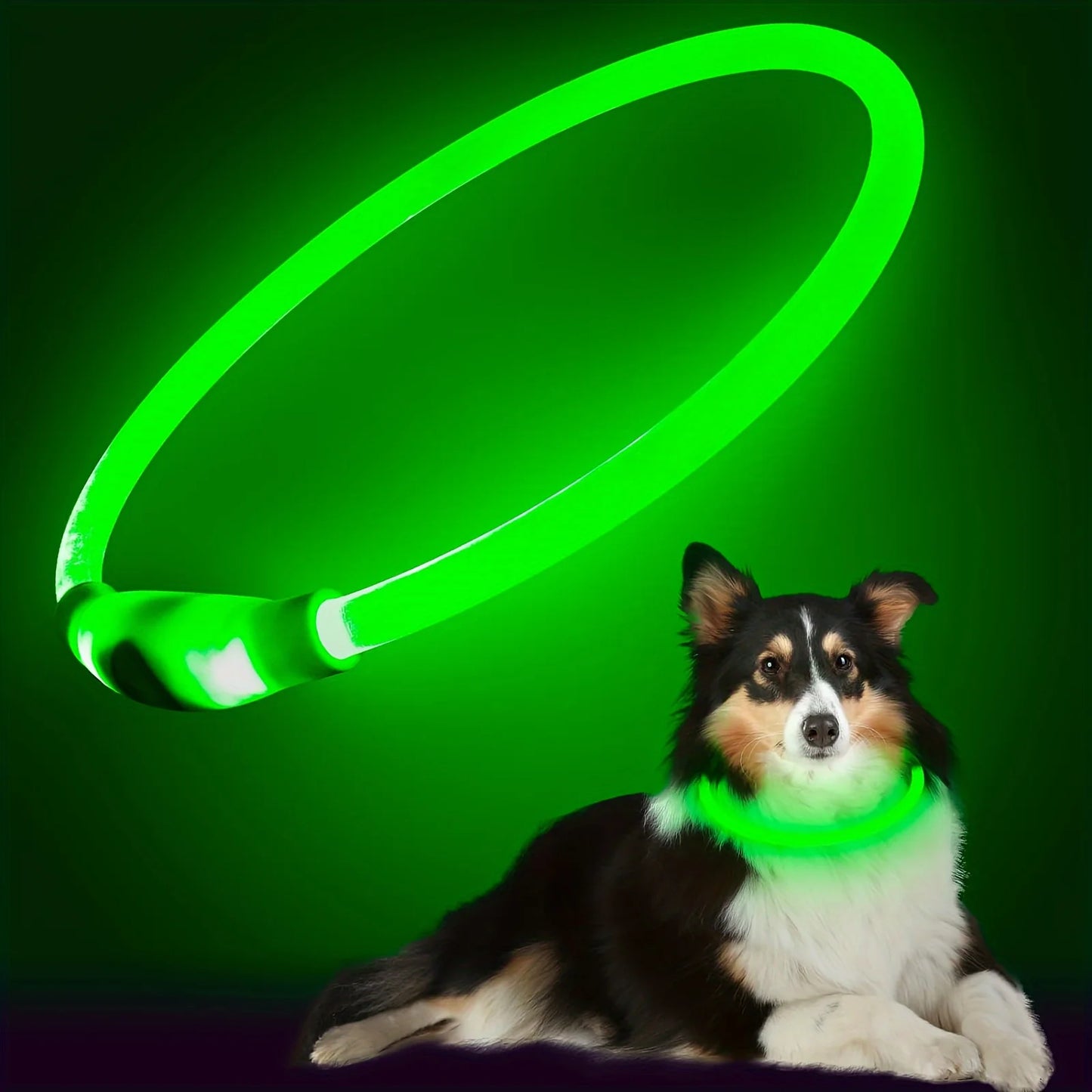 Collar luminoso LED para perros