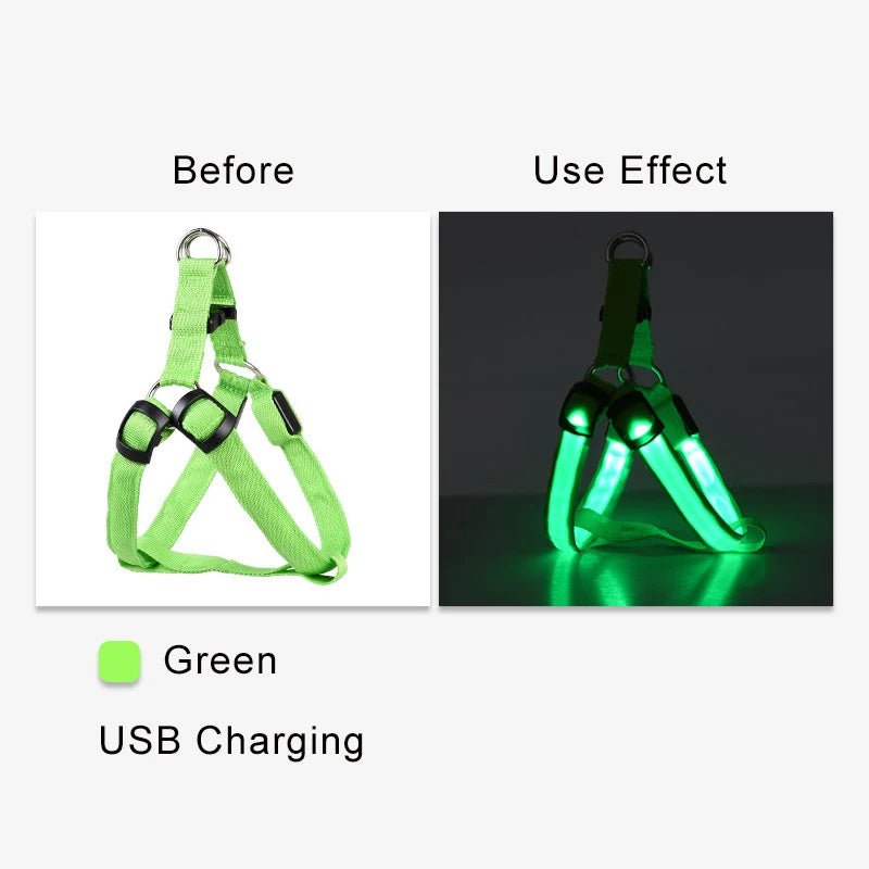 Arnés LED de moda para mascotas