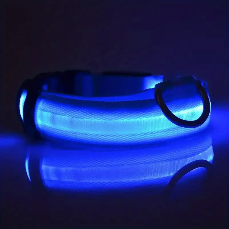 Correa y collar LED para perros – Seguridad nocturna
