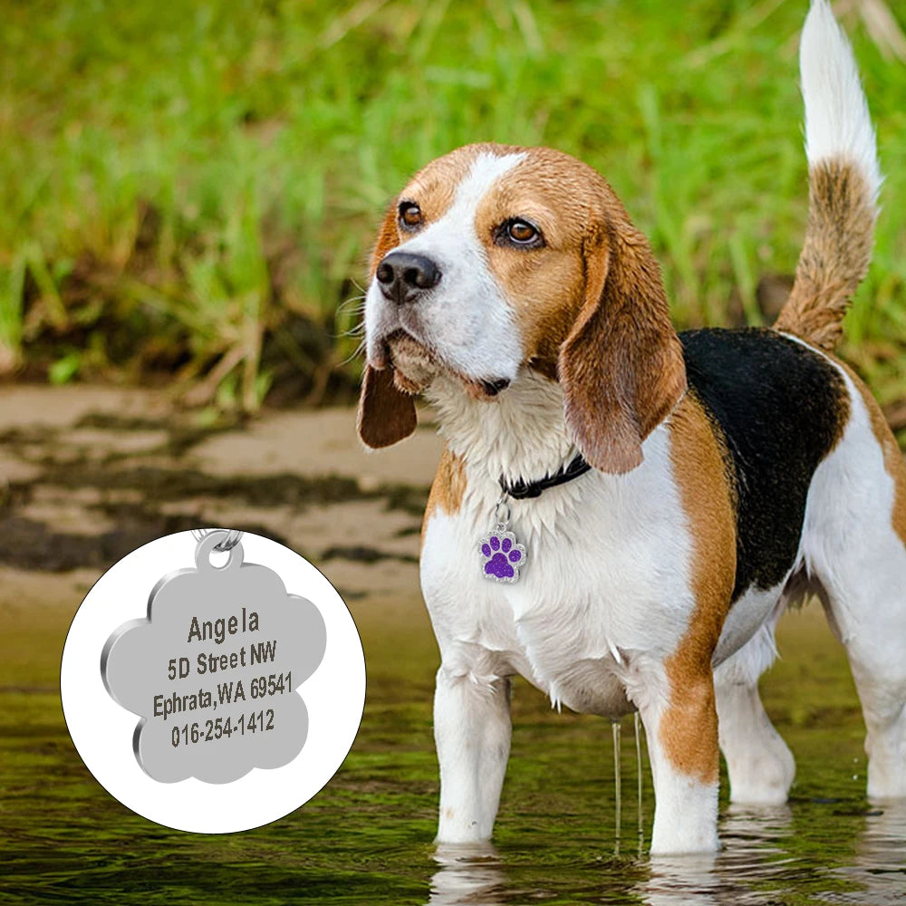 Chapas de identificación personalizadas para perros y gatos, grabadas en acero inoxidable.