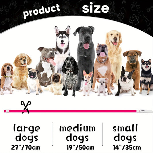 Collar luminoso LED para perros