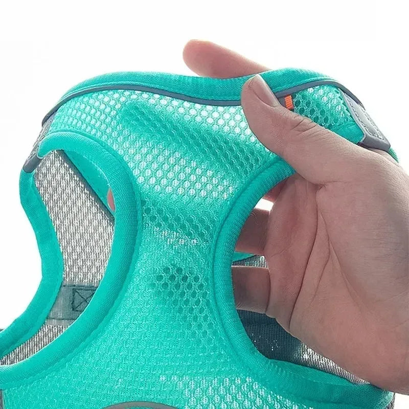 Set de arnés y correa ajustable para cachorros y gatos