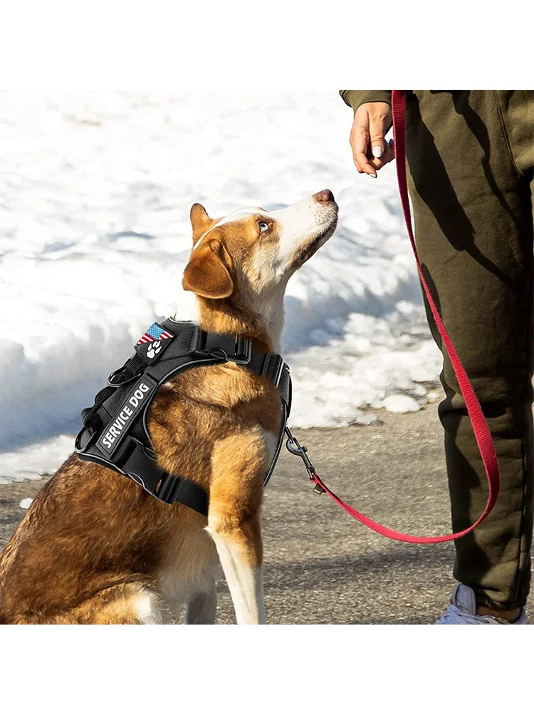 Arnés para perro de servicio con parches y reflectante
