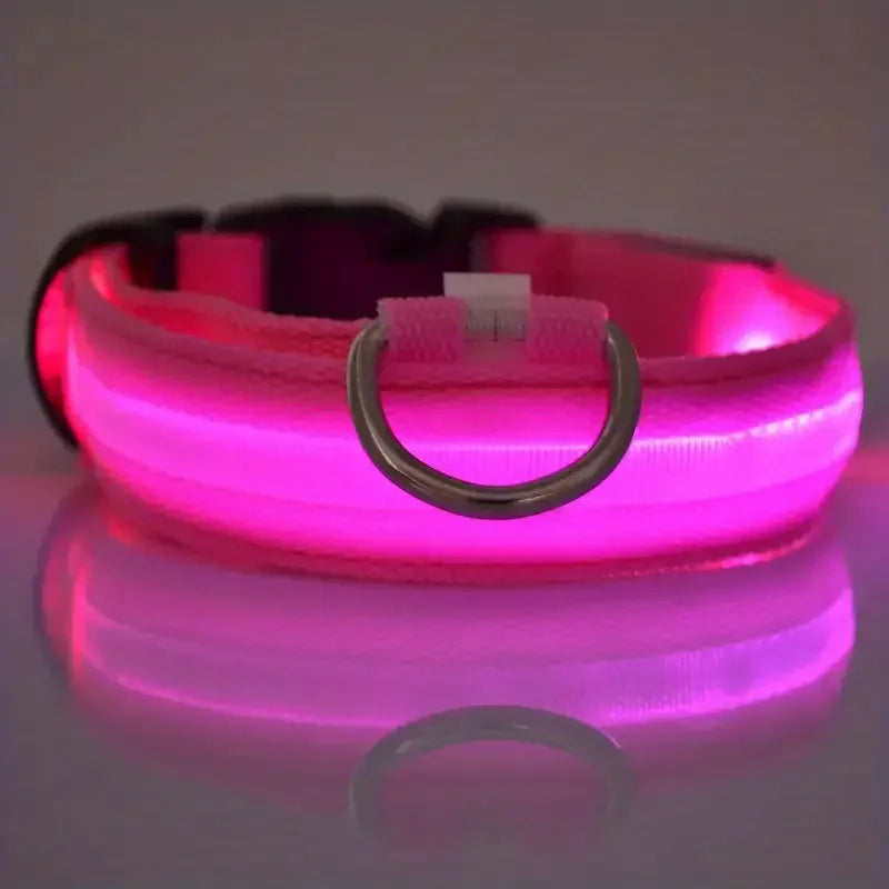 Correa y collar LED para perros – Seguridad nocturna
