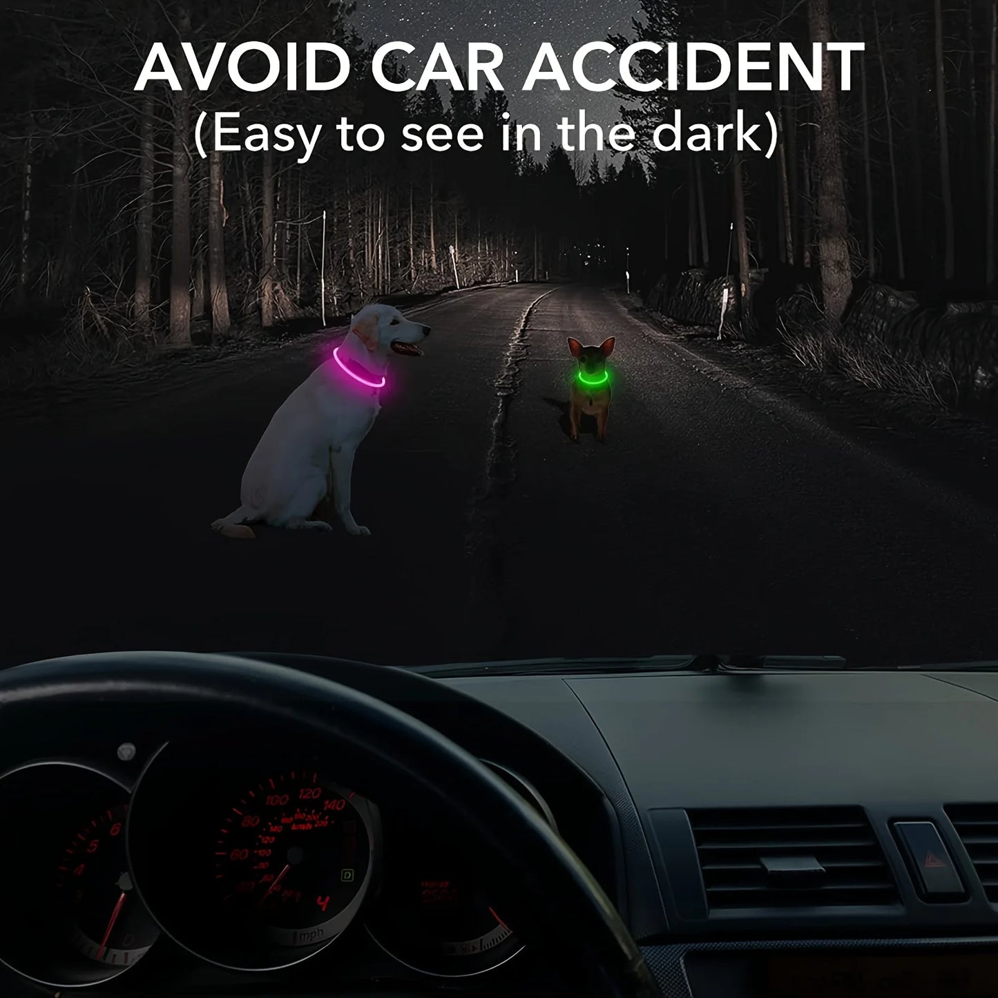 Collar luminoso LED para perros