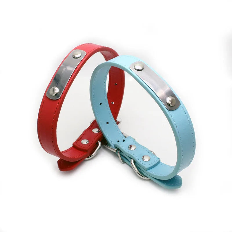 Collar personalizado con placa identificativa para perros y gatos