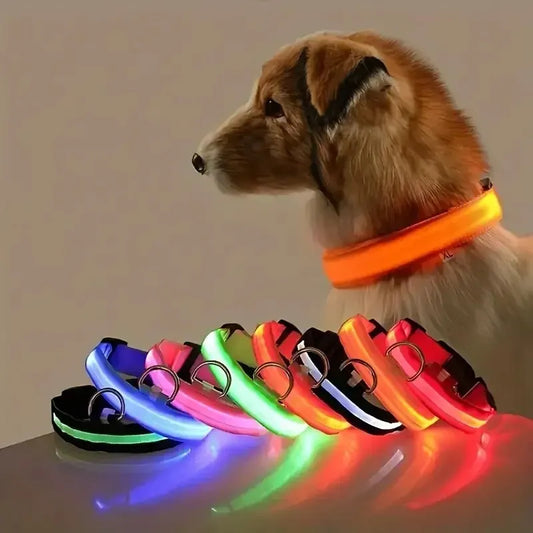 Correa y collar LED para perros – Seguridad nocturna