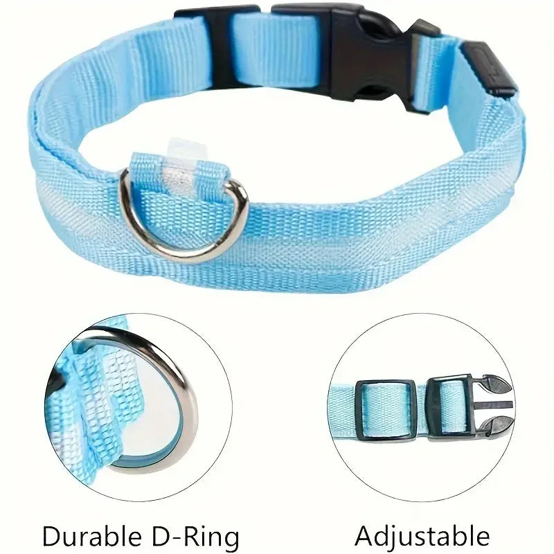 Correa y collar LED para perros – Seguridad nocturna