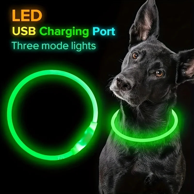 Collar luminoso LED para perros