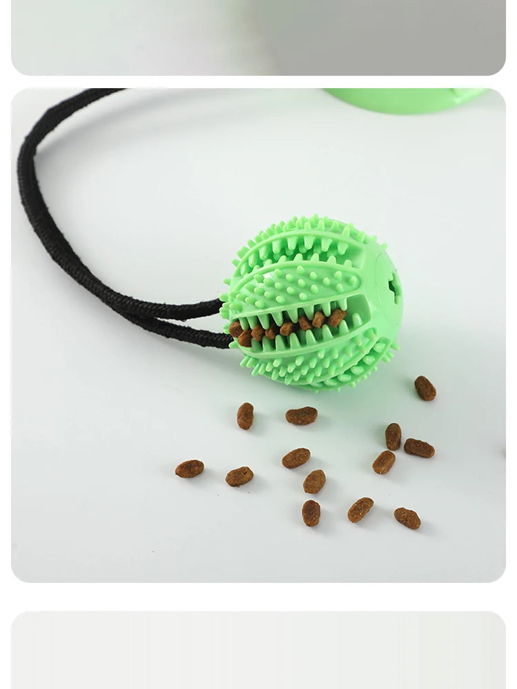 “Juguete interactivo para perros con ventosa, sonido y dispensador de premios – Pelota de caucho resistente para entrenar y jugar al tira y afloja.”