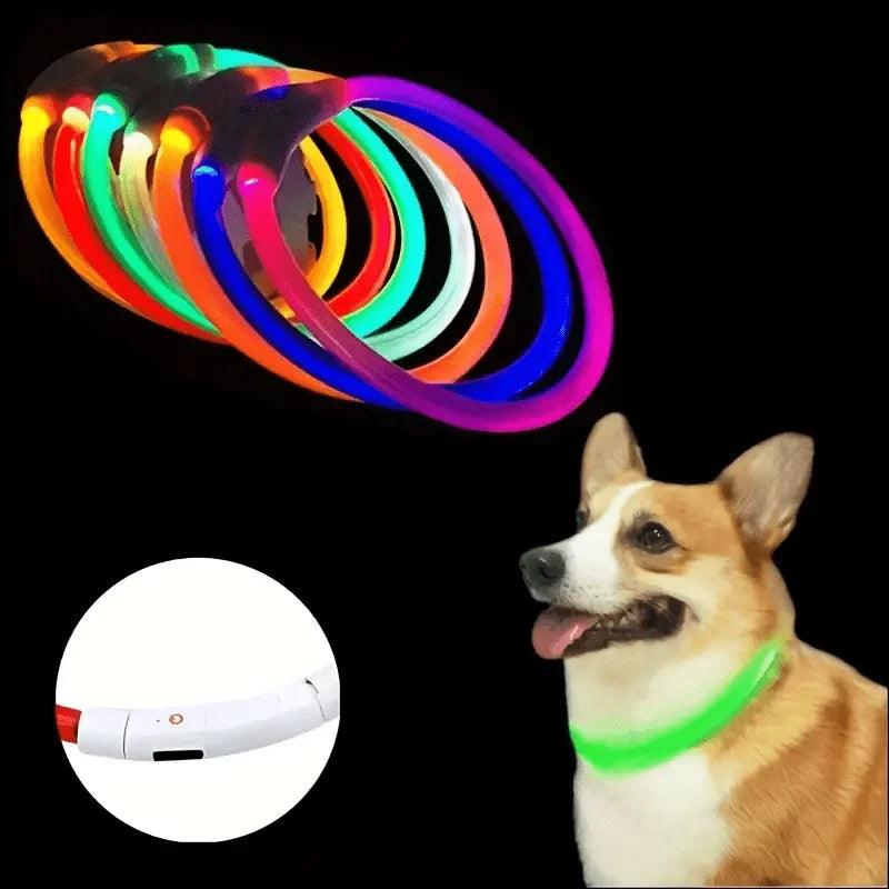 Collar luminoso LED para perros