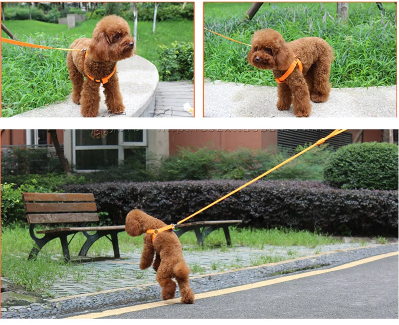 Arnés LED de moda para mascotas