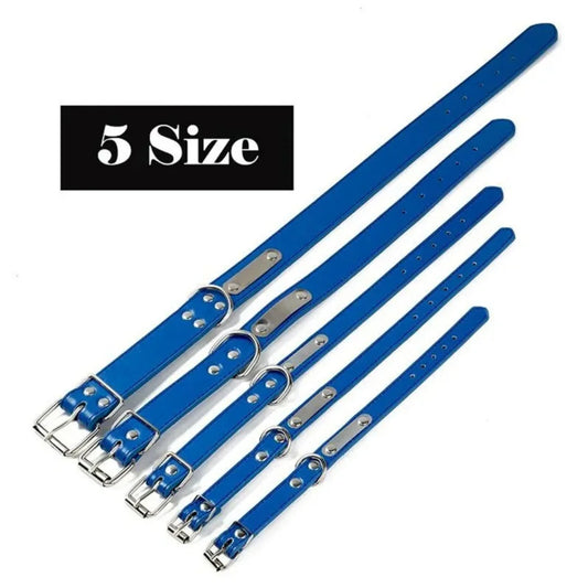 Collar personalizado con placa identificativa para perros y gatos